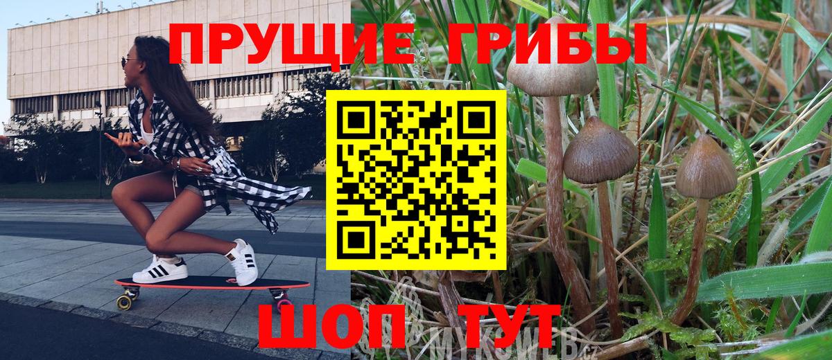 Галлюциногенные грибы мухоморы  Галлюциногенные грибы Cubensis  Вход с VPN  Куйбышев 